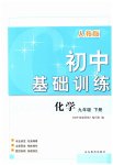 2023年初中基础训练九年级化学下册人教版山东教育出版社