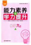 2023年能力素养与学力提升九年级化学上册人教版