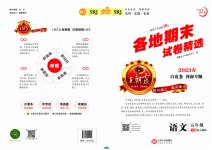 2023年王朝霞各地期末试卷精选五年级语文下册人教版河南专版