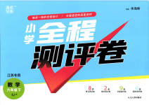 2023年通城学典全程测评卷六年级数学下册苏教版江苏专版