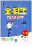 2023年全科王同步课时练习九年级化学下册人教版