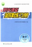 2023年阳光课堂金牌练习册九年级化学下册人教版