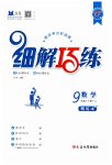 2023年细解巧练九年级数学下册鲁教版54制