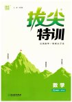 2023年拔尖特训八年级数学下册苏科版