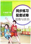 2023年同步练习配套试卷九年级道德与法治下册人教版