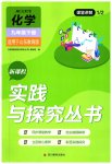 2023年新课程实践与探究丛书九年级化学下册鲁教版