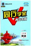2023年同行学案学练测九年级英语全一册人教版青岛专版