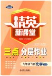 2023年精英新课堂九年级化学下册人教版