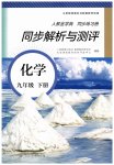 2023年人教金学典同步解析与测评九年级化学下册人教版