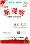 2023年思维新观察九年级化学下册人教版