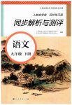 2023年人教金学典同步解析与测评九年级语文下册人教版