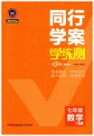 2023年同行学案学练测七年级数学下册北师大版
