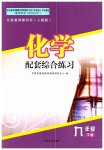 2023年配套综合练习甘肃九年级化学下册人教版