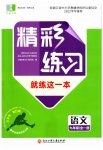 2023年精彩练习就练这一本九年级语文全一册人教版