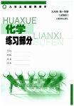 2023年练习部分九年级化学上册沪教版54制