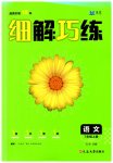 2023年细解巧练七年级语文上册人教版五四制