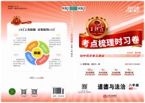 2023年王朝霞考点梳理时习卷八年级道德与法治下册人教版