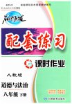 2023年名师点拨配套练习课时作业八年级道德与法治下册人教版