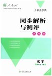 2023年同步解析与测评学考练九年级化学下册人教版广东专版