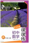 2023年课课练九年级数学上册苏科版