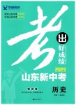 2023年考出好成绩中考总复习历史山东专版