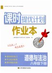 2023年课时提优计划作业本八年级道德与法治下册人教版
