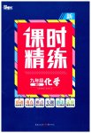 2023年课时精练九年级化学下册人教版