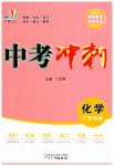 2023年中考冲刺化学广东专版