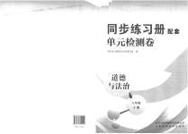 2023年同步练习册配套单元检测卷八年级道德与法治下册人教版