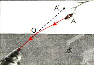 ��Ӣ�ҽ���