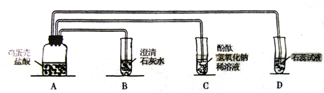 ��Ӣ�ҽ̾W(w��ng)