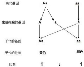 ��Ӣ�ҽ���