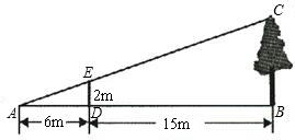 ��Ӣ�ҽ̾W(w��ng)