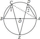 ��Ӣ�ҽ̾W(w��ng)