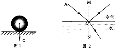 ��Ӣ�ҽ���