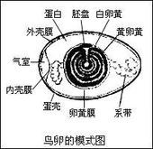 精英家教网