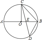 ��Ӣ�ҽ̾W(w��ng)