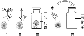 ��Ӣ�ҽ̾W(w��ng)