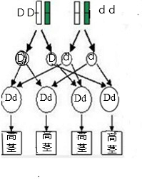 ��Ӣ�ҽ���