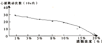 ��Ӣ�ҽ���