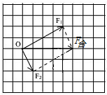 ��Ӣ�ҽ���