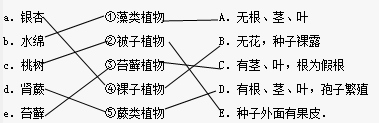 精英家教网