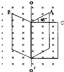 ��Ӣ�ҽ���