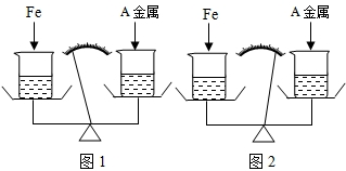 ��Ӣ�ҽ̾W(w��ng)