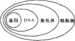 ��Ӣ�ҽ���