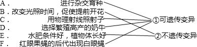 Ӣҽ̾W(wng)