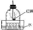 精英家教网