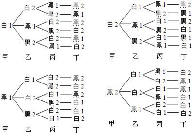 ��Ӣ�ҽ̾W(w��ng)