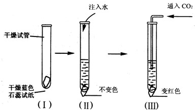 ��Ӣ�ҽ̾W(w��ng)