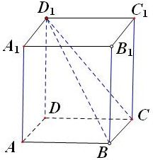 ��Ӣ�ҽ���